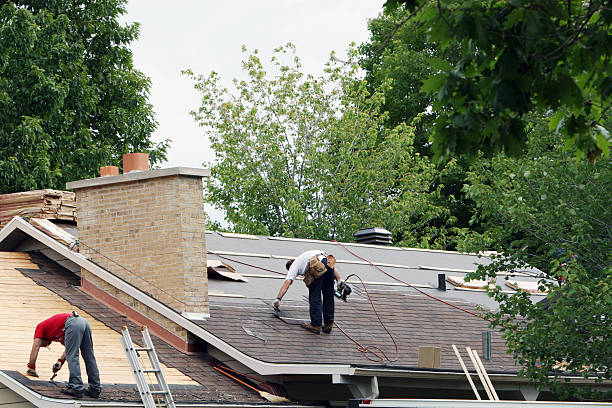 Best Roof Repair Specialists  in USA